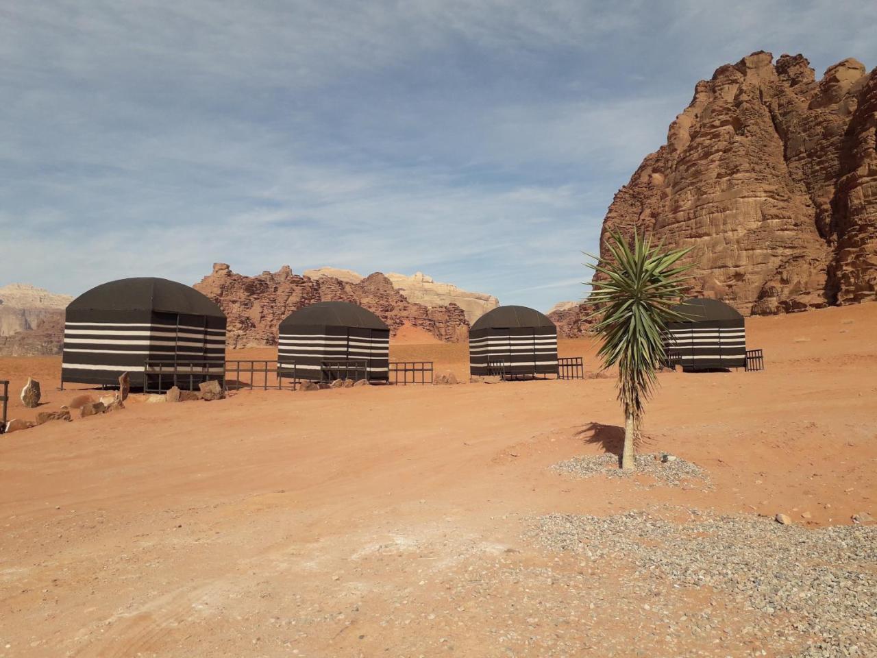 Hala Rum Camp Wadi Rum Exteriör bild
